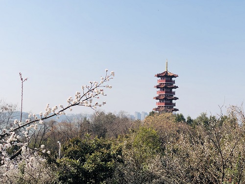 張玉潔_“杏(幸)”好遇見“塔(他)”5003.jpg
